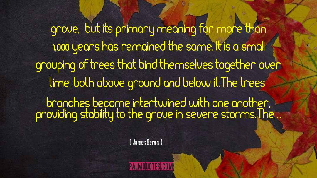 James Beran Quotes: grove,