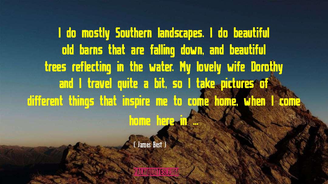 James Best Quotes: I do mostly Southern landscapes.