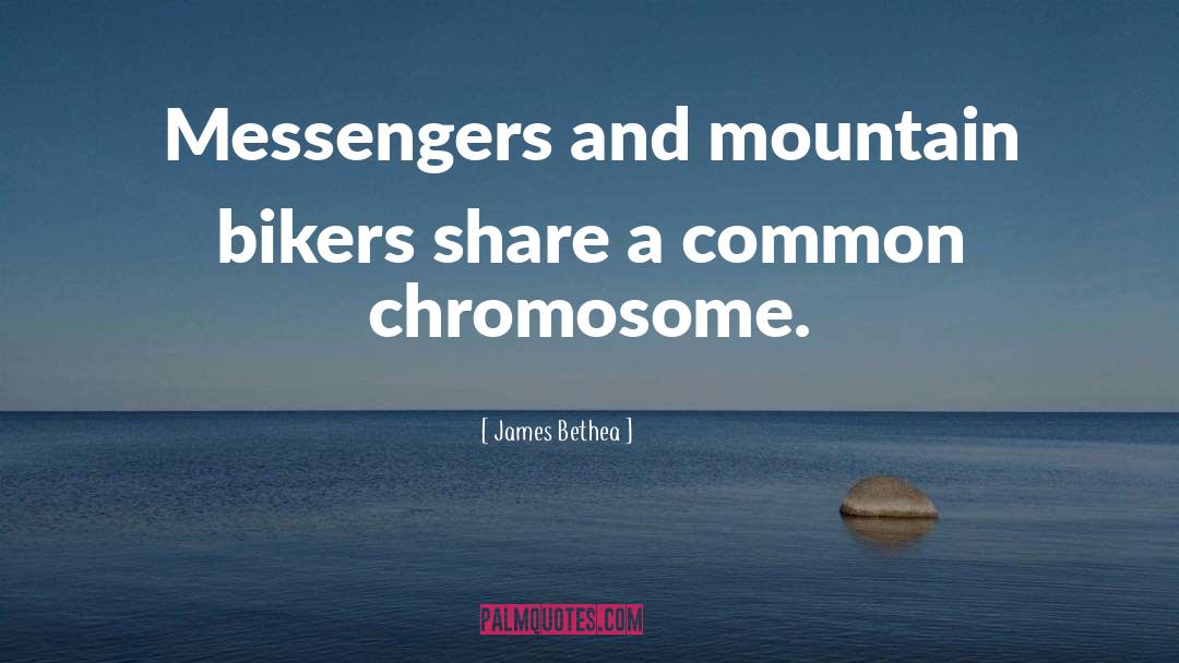 James Bethea Quotes: Messengers and mountain bikers share