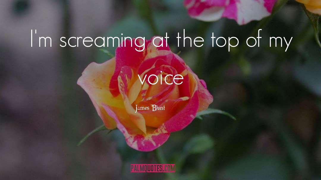 James Blunt Quotes: I'm screaming at the top