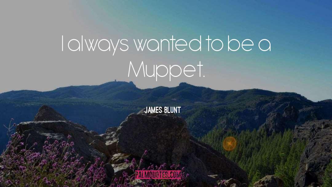 James Blunt Quotes: I always wanted to be