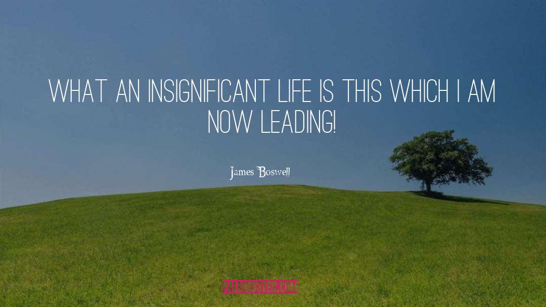 James Boswell Quotes: What an insignificant life is