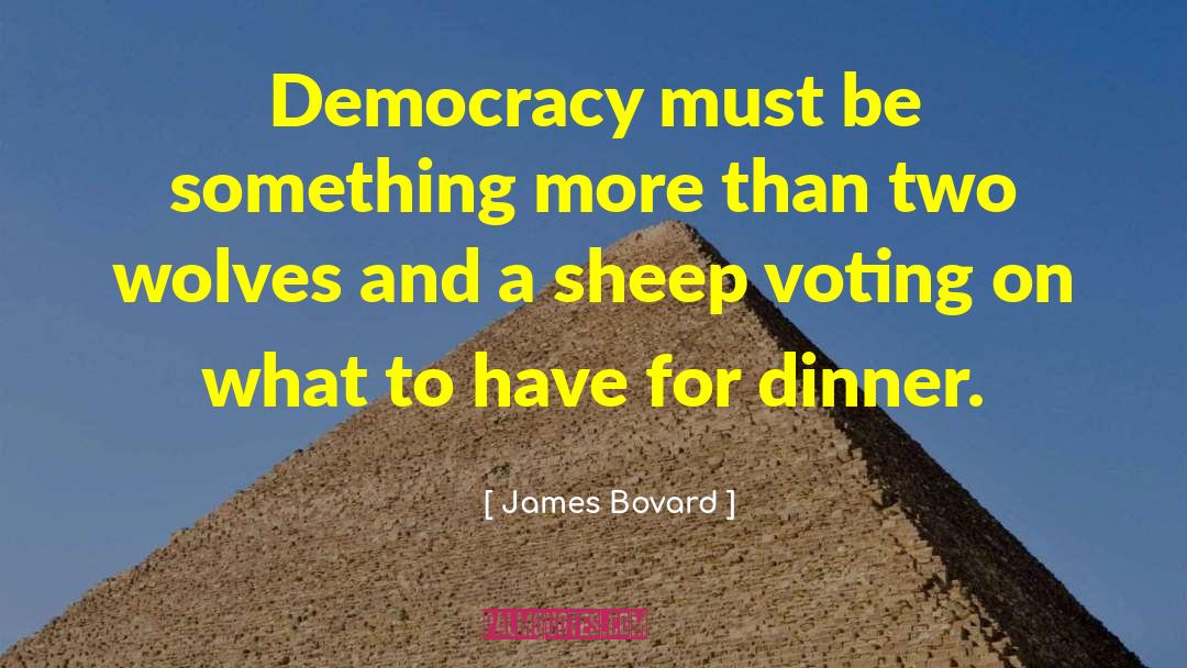 James Bovard Quotes: Democracy must be something more