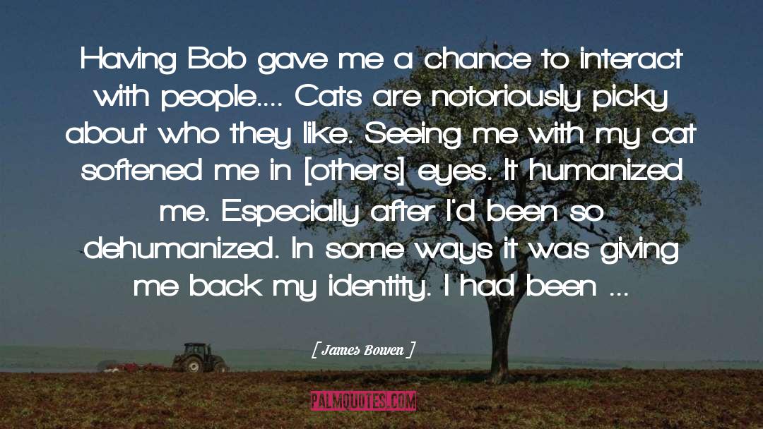 James Bowen Quotes: Having Bob gave me a