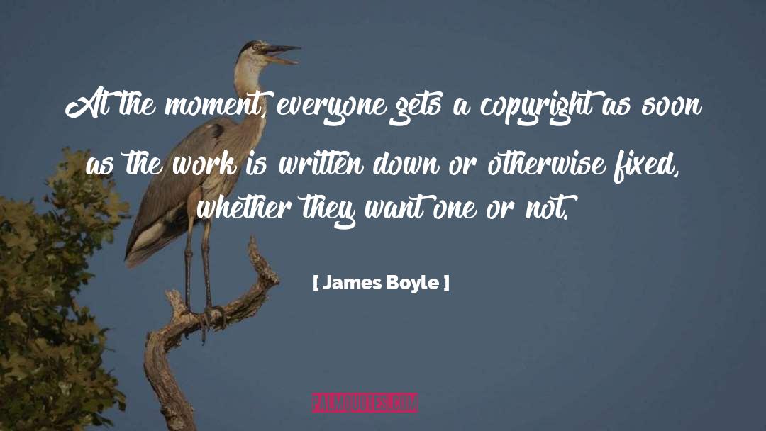 James Boyle Quotes: At the moment, everyone gets