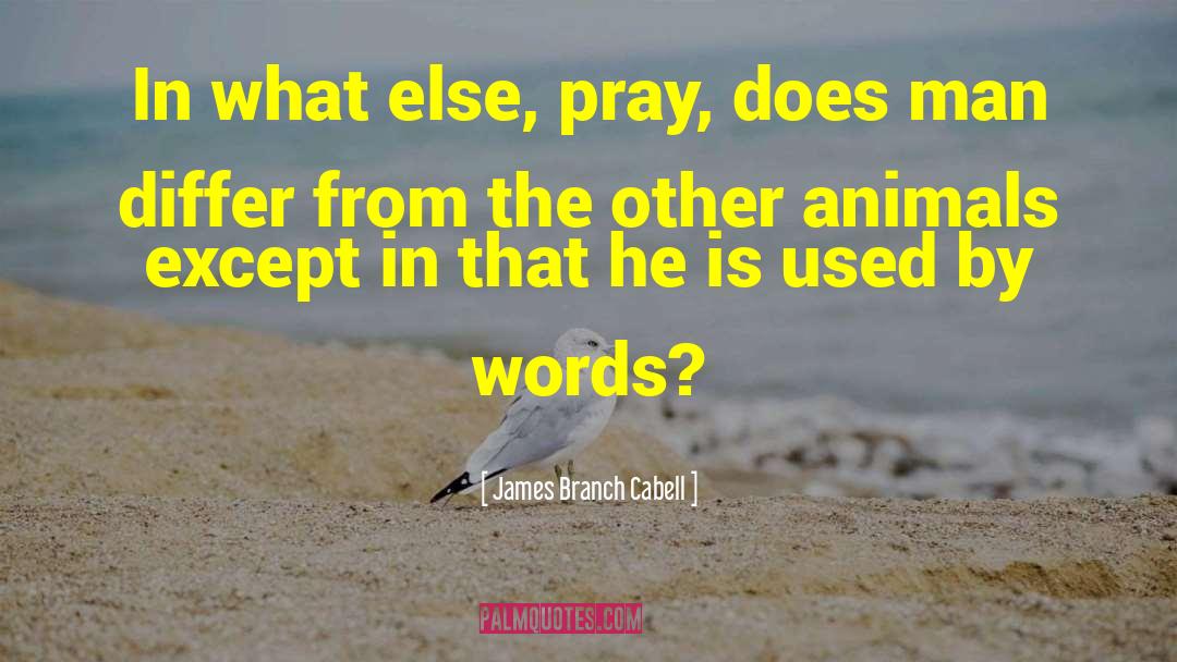 James Branch Cabell Quotes: In what else, pray, does