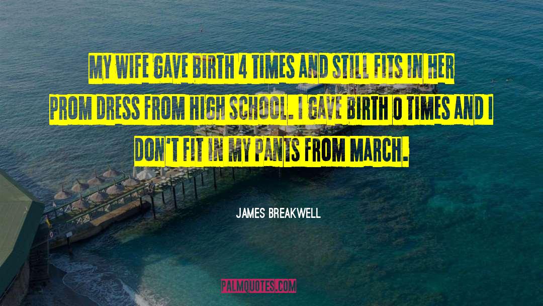 James Breakwell Quotes: My wife gave birth 4