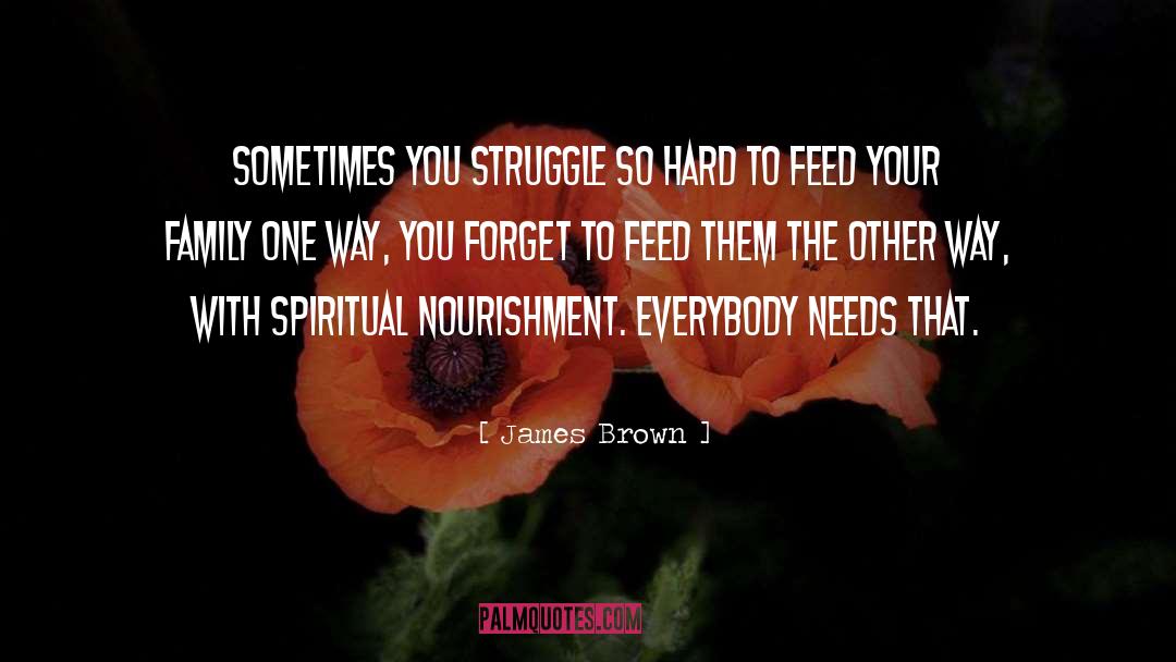James Brown Quotes: Sometimes you struggle so hard
