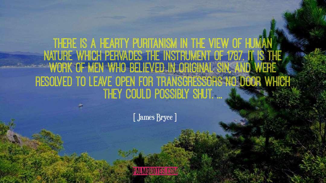 James Bryce Quotes: There is a hearty Puritanism