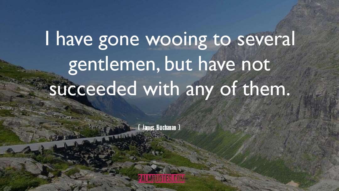 James Buchanan Quotes: I have gone wooing to