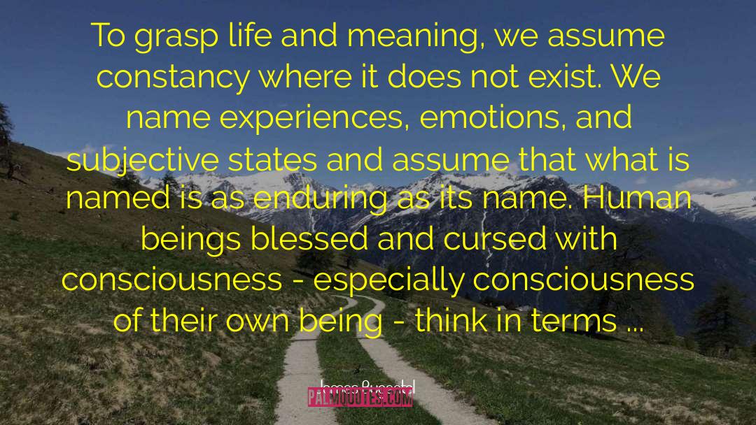 James Bugental Quotes: To grasp life and meaning,
