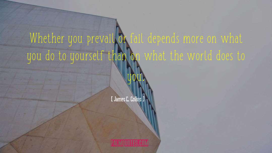 James C. Collins Quotes: Whether you prevail or fail