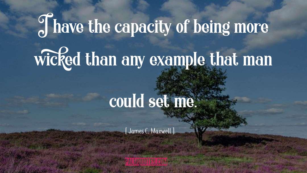 James C. Maxwell Quotes: I have the capacity of