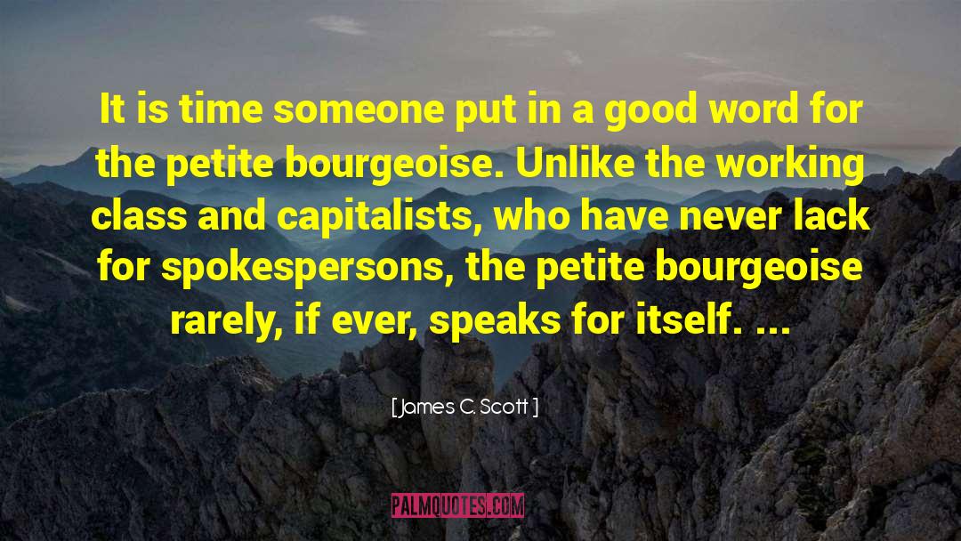 James C. Scott Quotes: It is time someone put