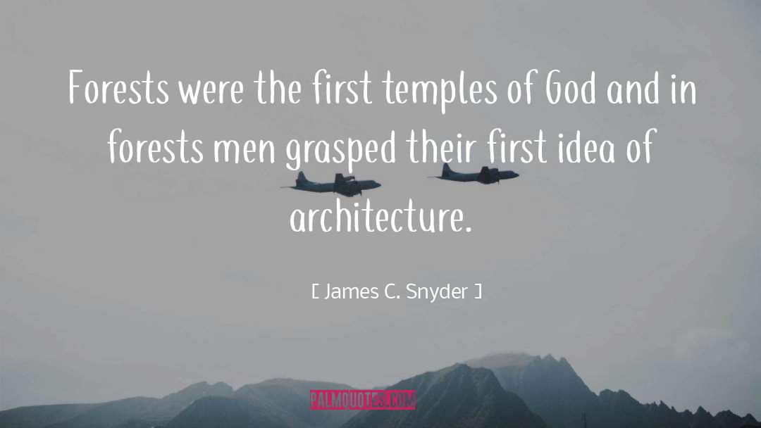 James C. Snyder Quotes: Forests were the first temples