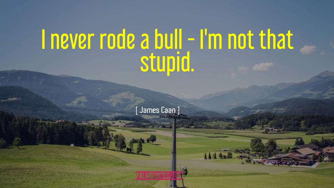 James Caan Quotes: I never rode a bull