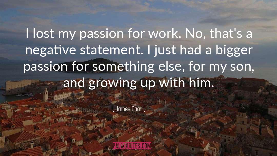 James Caan Quotes: I lost my passion for