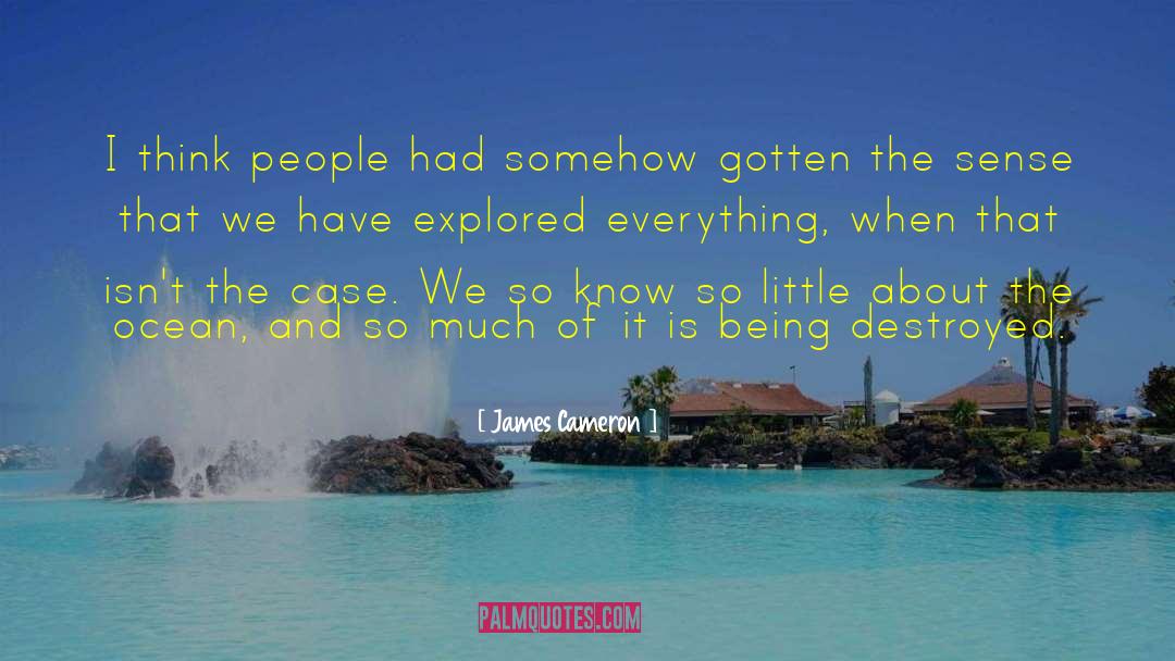 James Cameron Quotes: I think people had somehow