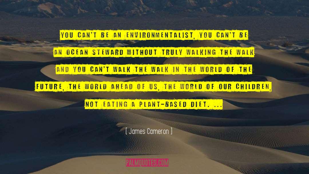 James Cameron Quotes: You can't be an environmentalist,