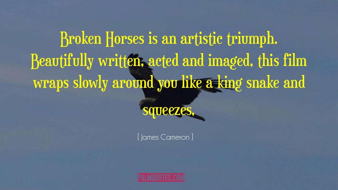 James Cameron Quotes: Broken Horses is an artistic