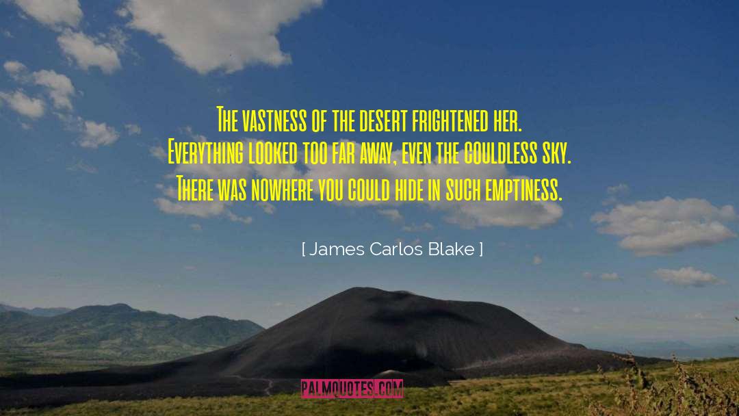 James Carlos Blake Quotes: The vastness of the desert