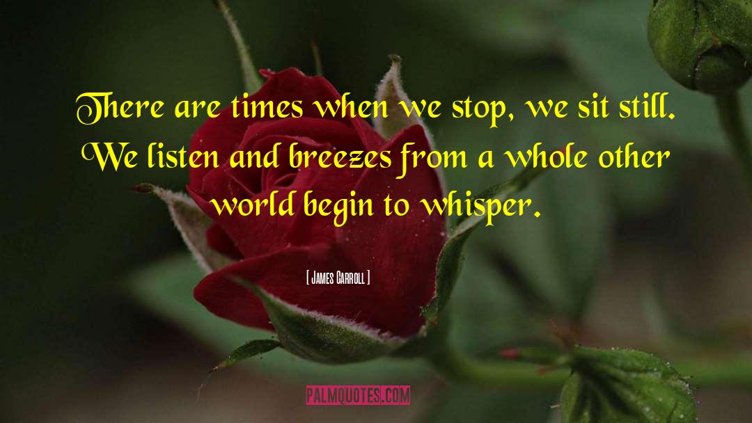 James Carroll Quotes: There are times when we