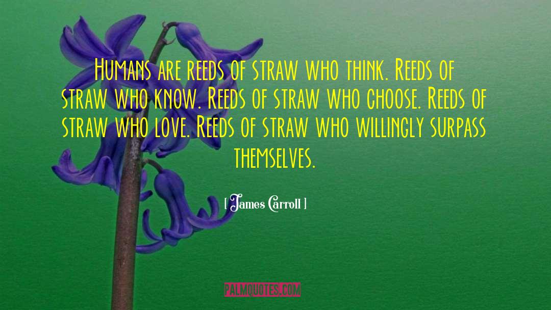 James Carroll Quotes: Humans are reeds of straw