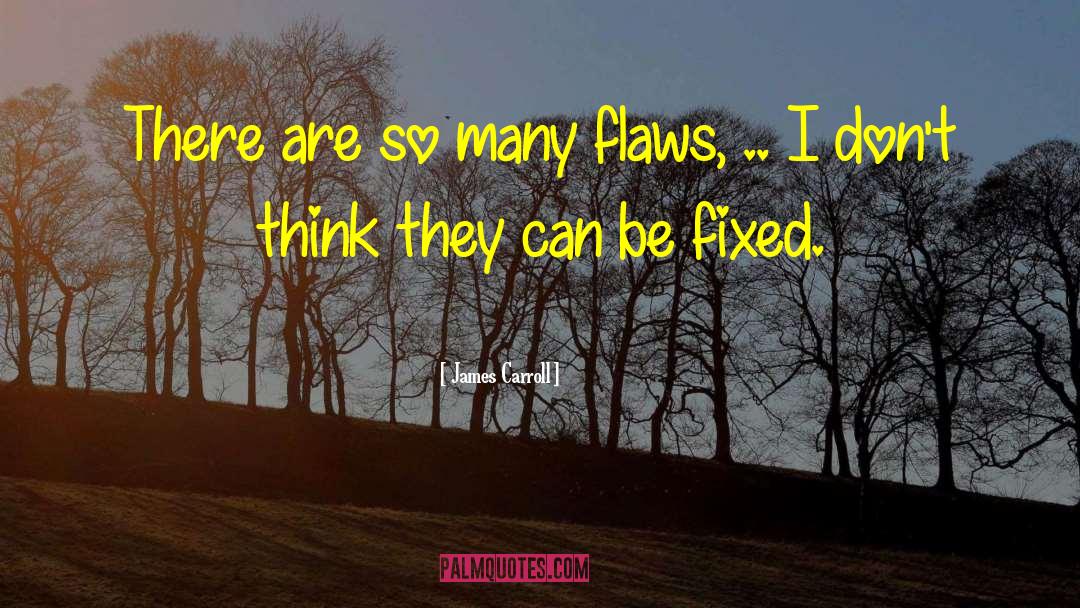James Carroll Quotes: There are so many flaws,