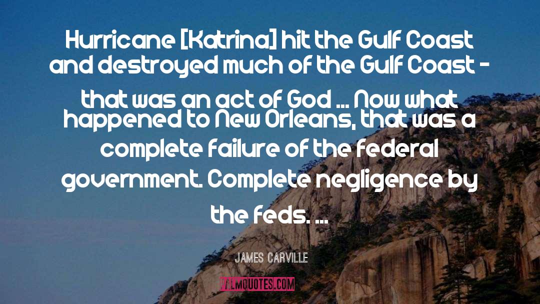James Carville Quotes: Hurricane [Katrina] hit the Gulf