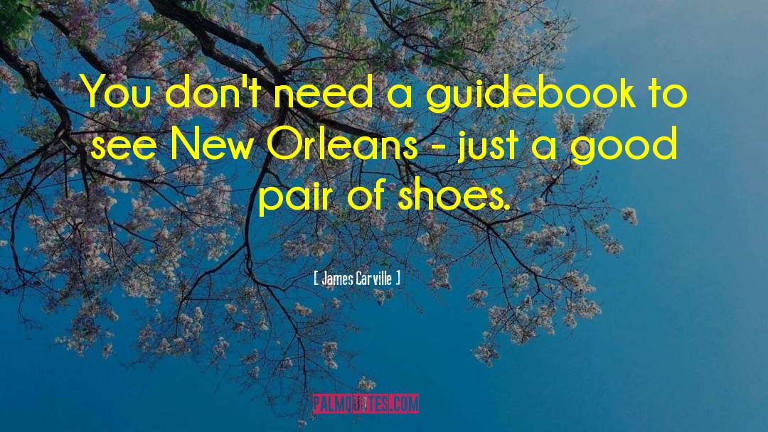 James Carville Quotes: You don't need a guidebook