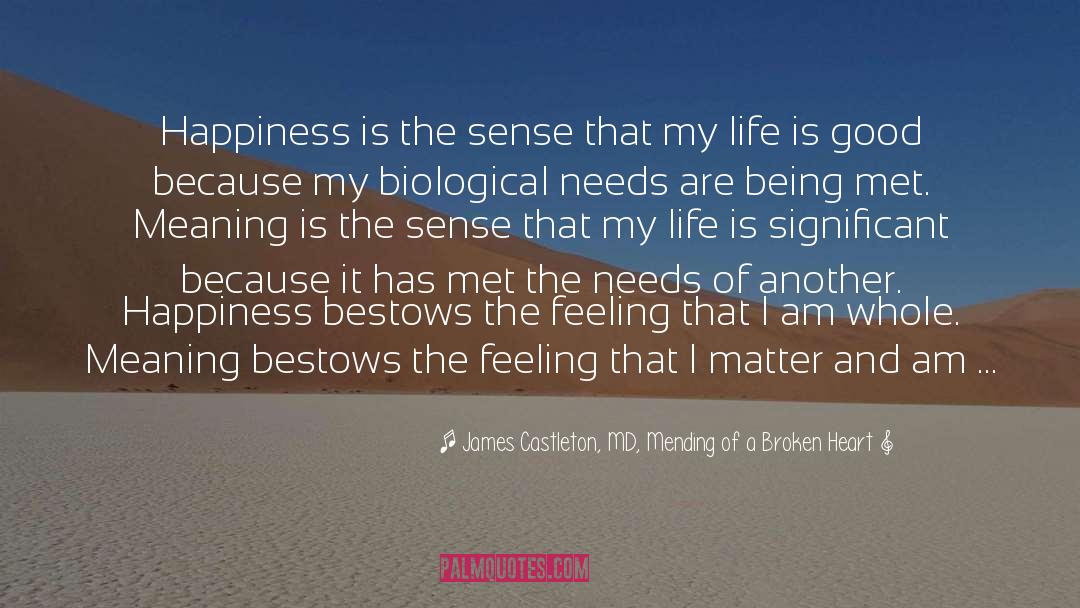 James Castleton, MD, Mending Of A Broken Heart Quotes: Happiness is the sense that