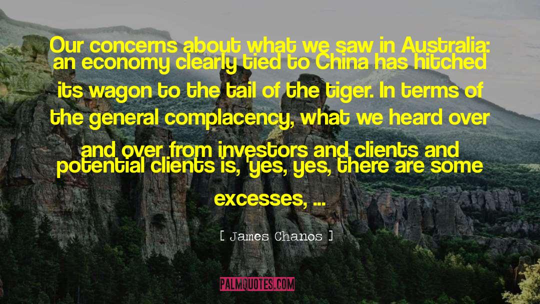 James Chanos Quotes: Our concerns about what we