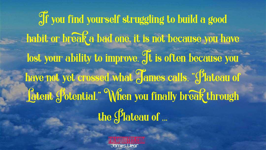 James Clear Quotes: If you find yourself struggling