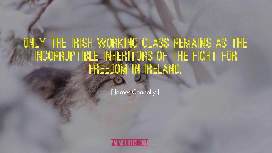 James Connolly Quotes: Only the Irish working class