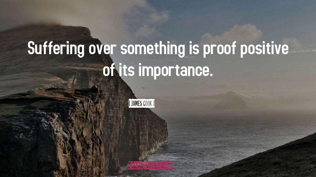 James Cook Quotes: Suffering over something is proof