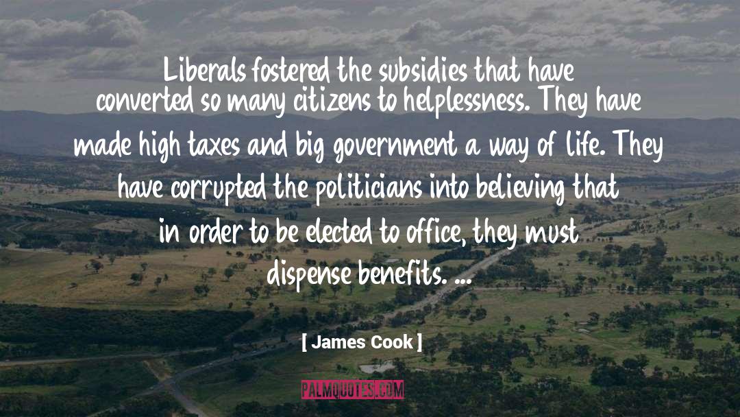 James Cook Quotes: Liberals fostered the subsidies that