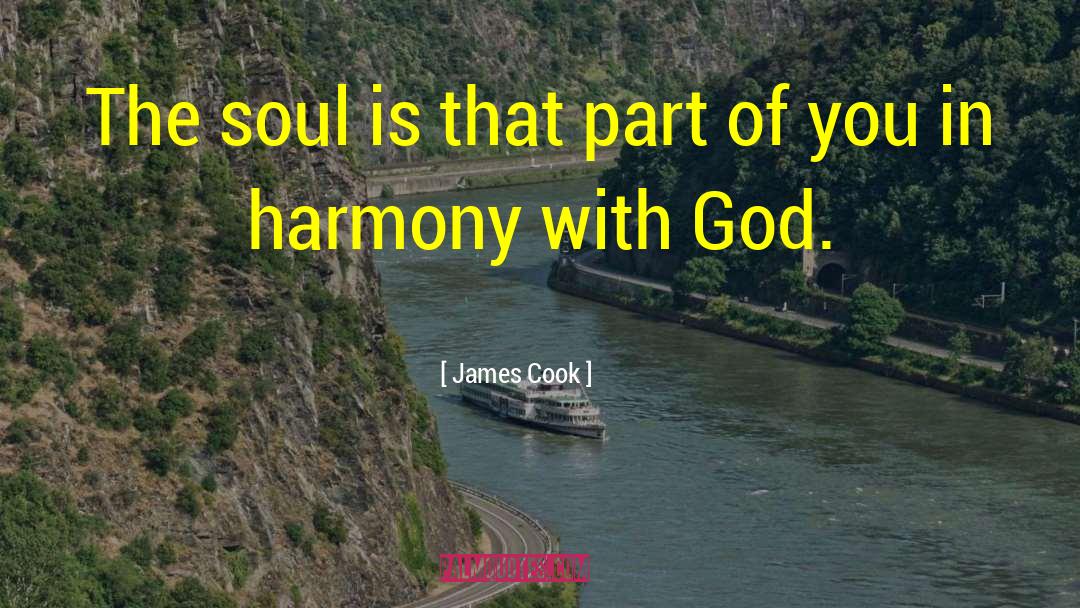 James Cook Quotes: The soul is that part