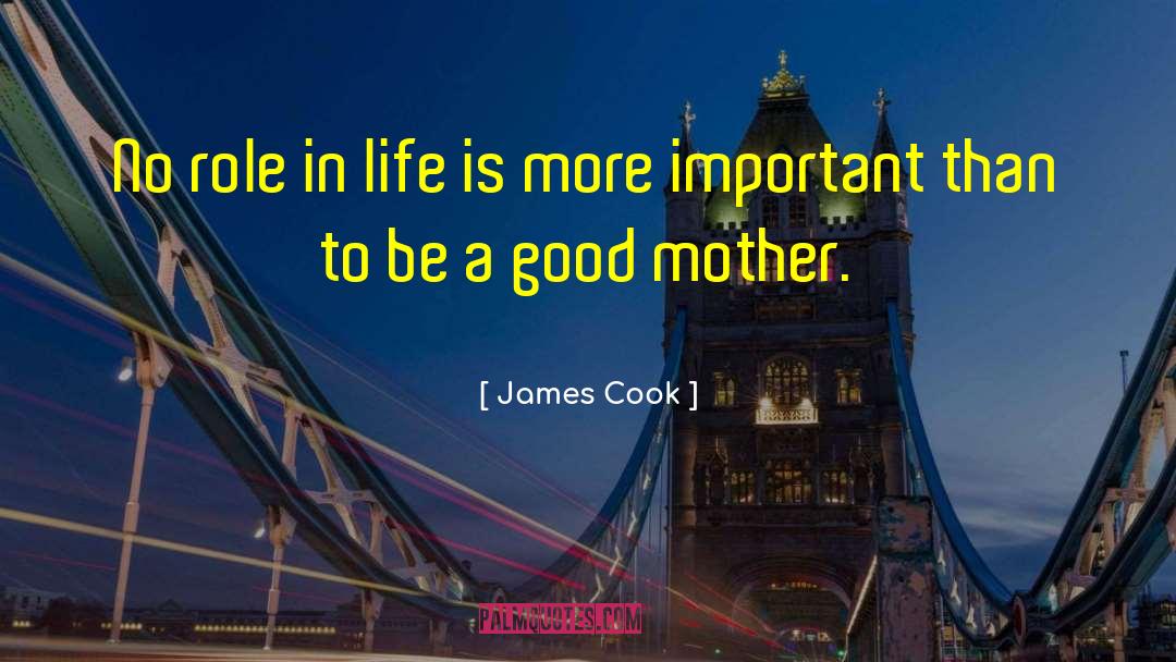 James Cook Quotes: No role in life is