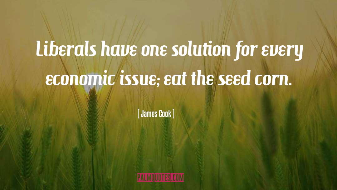 James Cook Quotes: Liberals have one solution for
