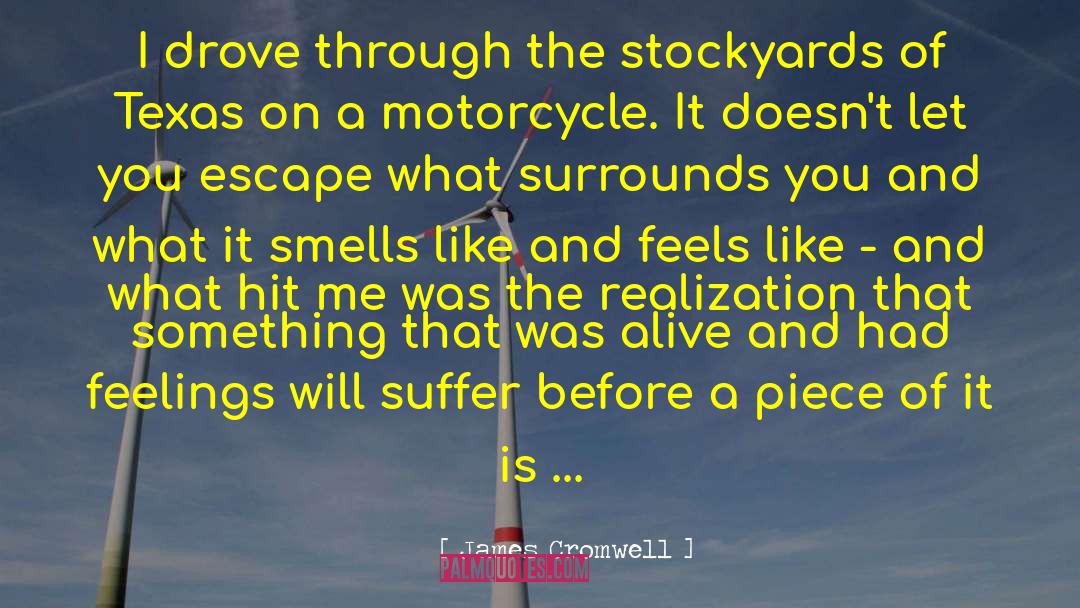 James Cromwell Quotes: I drove through the stockyards