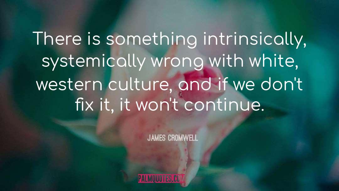 James Cromwell Quotes: There is something intrinsically, systemically