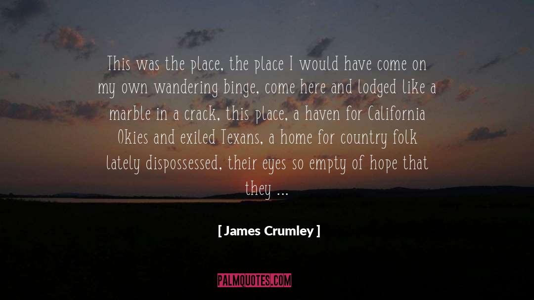 James Crumley Quotes: This was the place, the