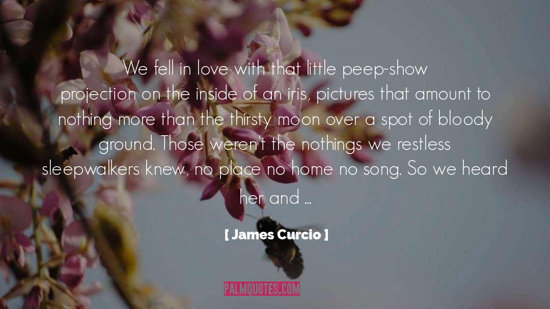 James Curcio Quotes: We fell in love with