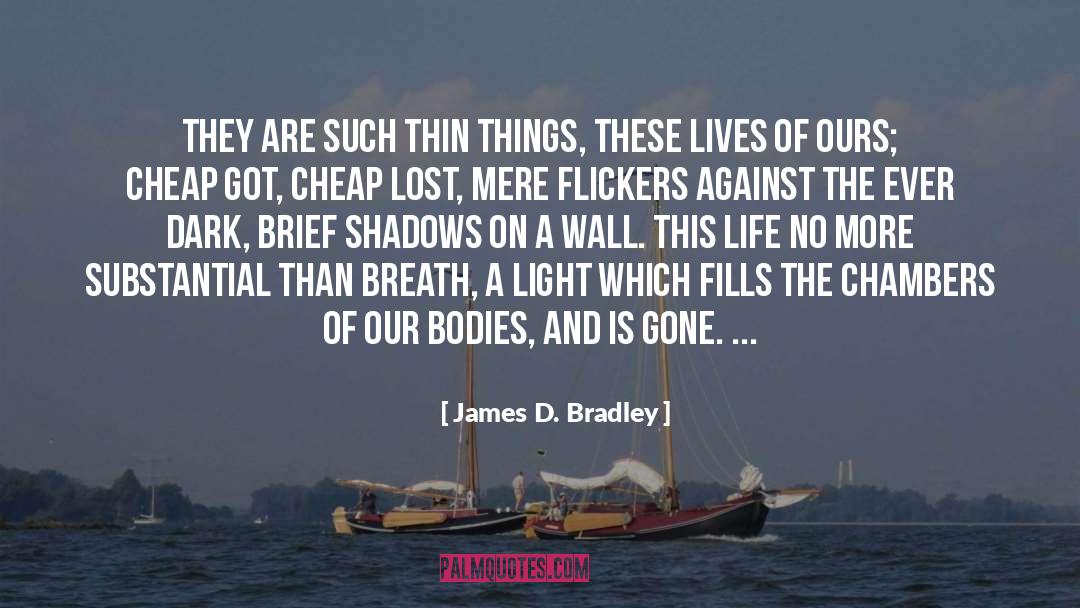 James D. Bradley Quotes: They are such thin things,