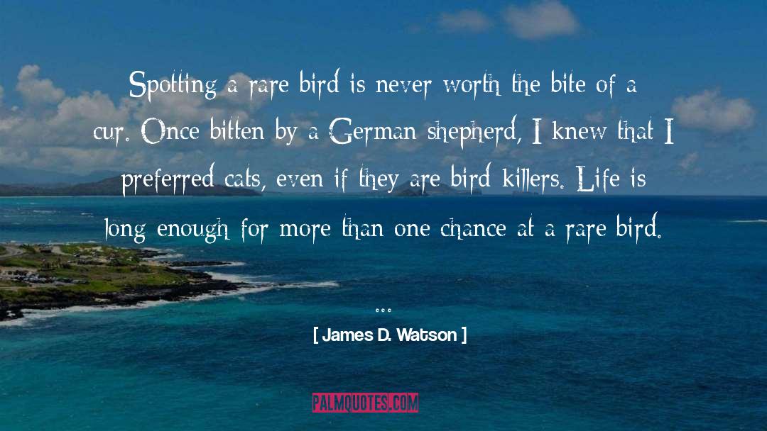 James D. Watson Quotes: Spotting a rare bird is