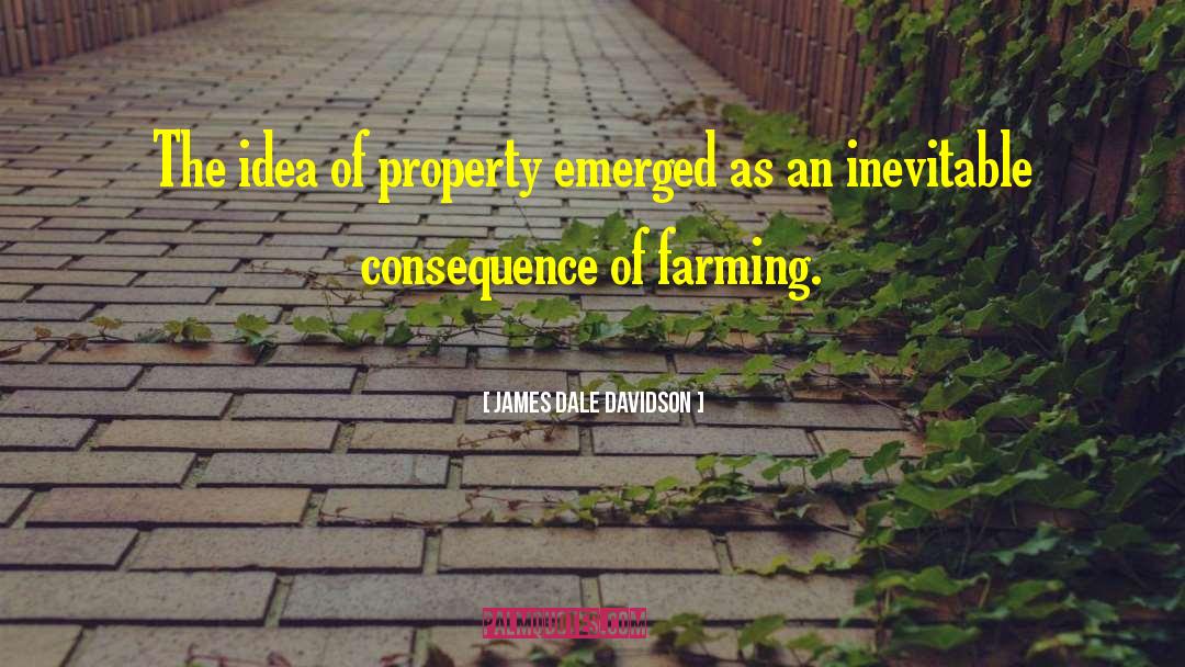 James Dale Davidson Quotes: The idea of property emerged