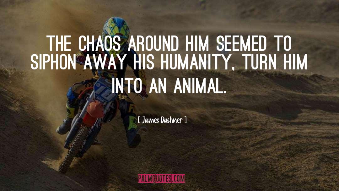 James Dashner Quotes: The chaos around him seemed