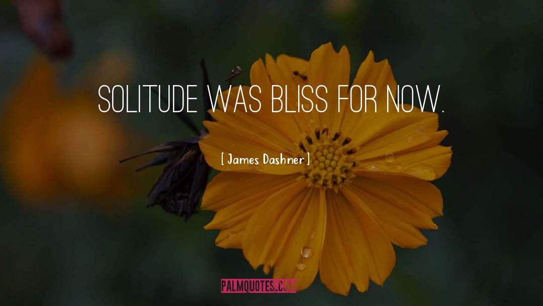 James Dashner Quotes: solitude was bliss for now.