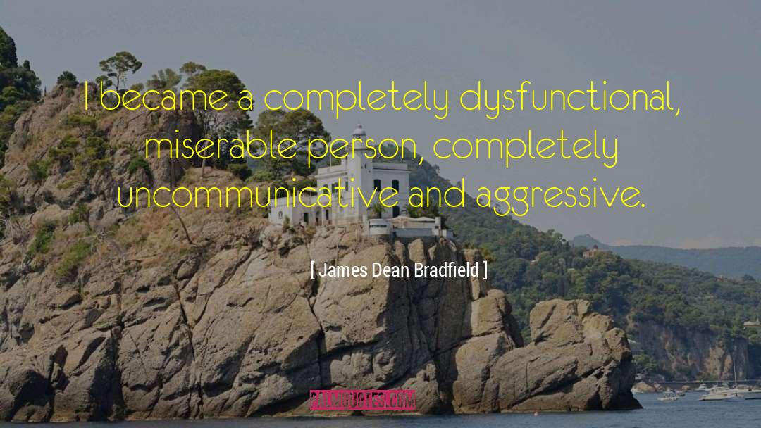 James Dean Bradfield Quotes: I became a completely dysfunctional,