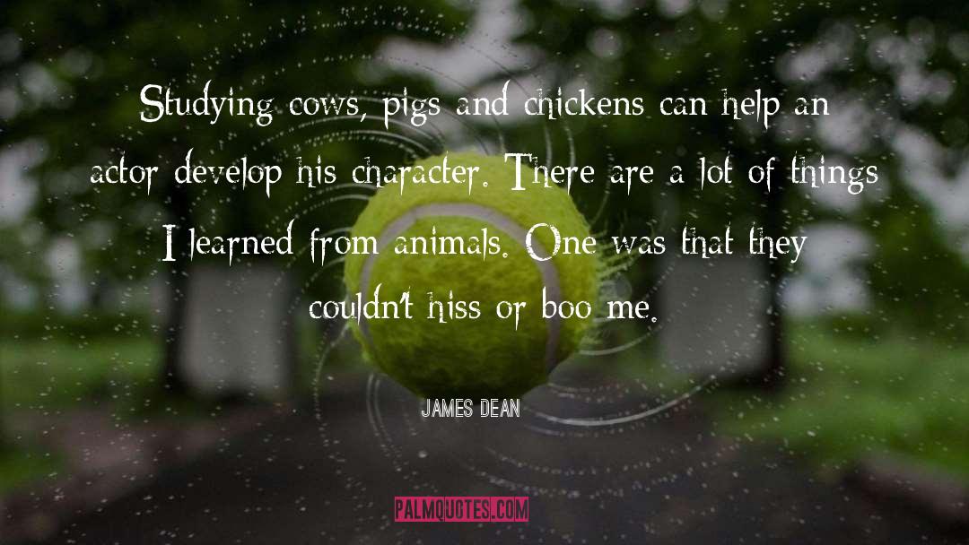 James Dean Quotes: Studying cows, pigs and chickens